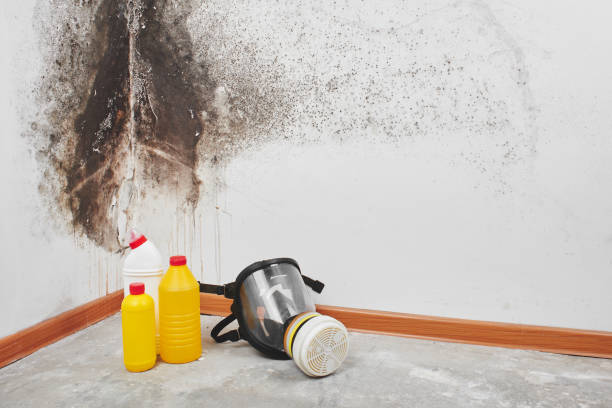 Best Affordable Mold Removal  in West Baraboo, WI