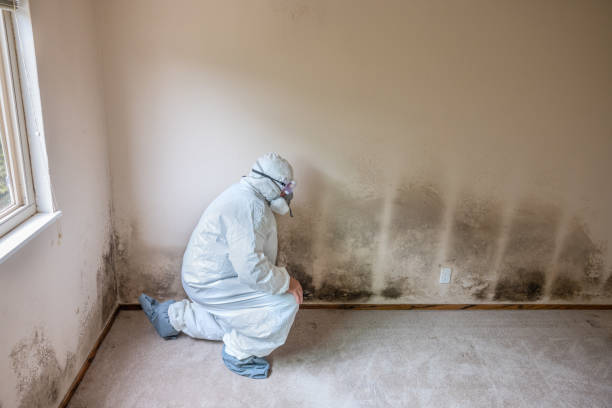 Best Crawl Space Mold Removal  in West Baraboo, WI