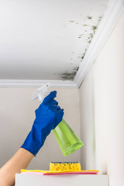 Best Affordable Mold Removal  in West Baraboo, WI