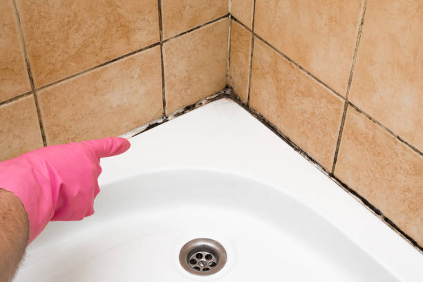 Best Mold Cleaning Services  in West Baraboo, WI